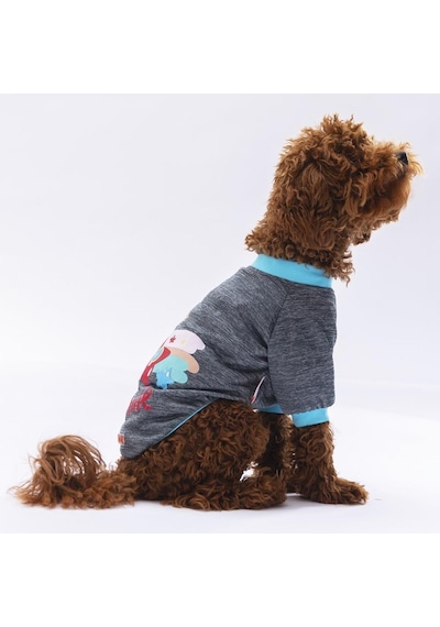 Pawstar Füme Shine Kedi Köpek Sweati Kıyafeti