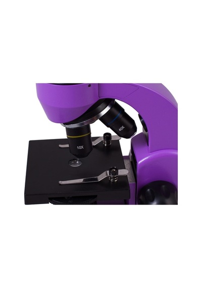 Levenhuk Raınbow 50L Amethyst/Ametist Mikroskop