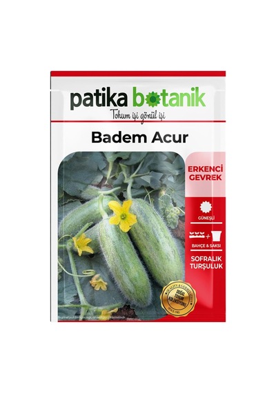 25 Adet Ata Tohumu Badem Acur