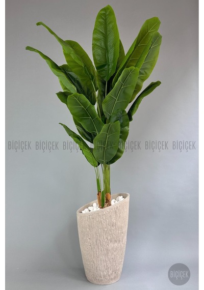 Yapay Muz Ağaci 230 Cm Krem Datça Saksıda