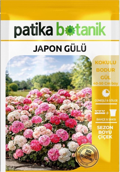 5 Adet Japon Gülü Çiçeği Tohumu (Rosa chinensis)