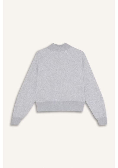 Defacto Loose Fıt Baskılı Fermuarlı Sweatshirt G8117ax26spgr256 Gri-gr256