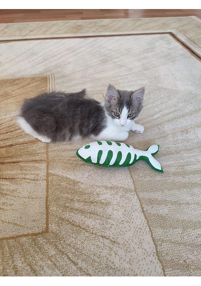 Yeşil Balık - Kedi Naneli Catnipli & Kedi Zilli Kedi Oyuncağı Kedi Yastığı - Dino Pet Oyuncak