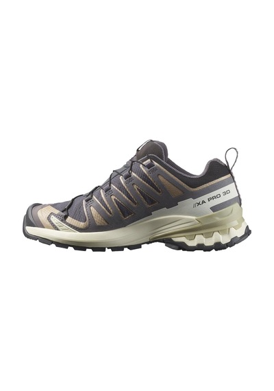 Salomon Xa Pro 3d V9 Gore-tex Kadın Ayakkabı Gri