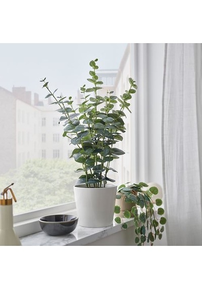 Ikea Fejka Yapay Bitki, Yeşil, 15 Cm, İç-dış Mekan Okaliptüs