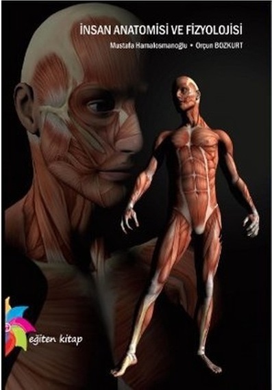 İnsan Anatomisi ve Fizyolojisi - Orçun Bozkurt -  Mustafa Hamalosmanoğlu - Eğiten Kitap