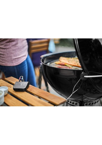 Weber Connect Akıllı Izgara Merkezi
