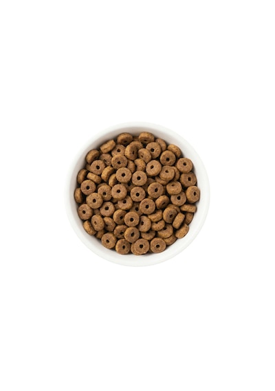 Zampa Plus Premium Tavuk Etli Yetişkin Kediler İçin Kuru Mama 15 KG