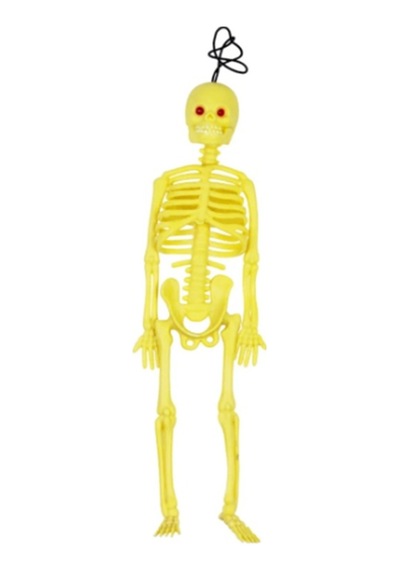 Misyon Plastik İskelet 20cm