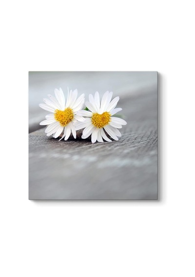 Falı Tablosu 60 X 60 -