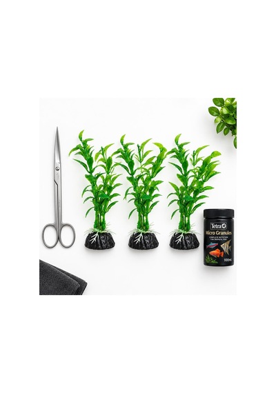 Zeytin Dalı Zeytin Dalı Diğer