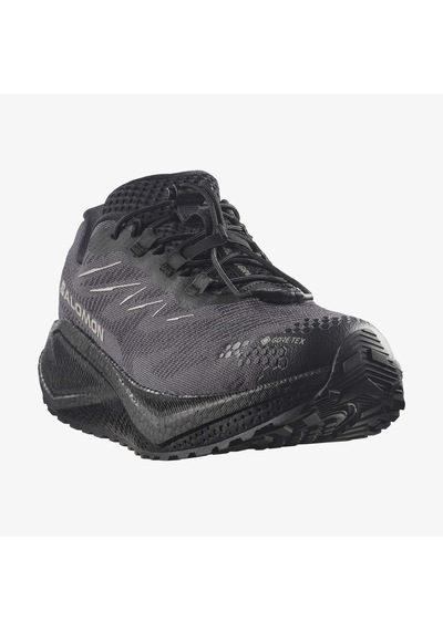 Salomon Aero Blaze 4 Grvl Gtx Gravel Erkek Koşu Ayakkabısı L45403000 Siyah