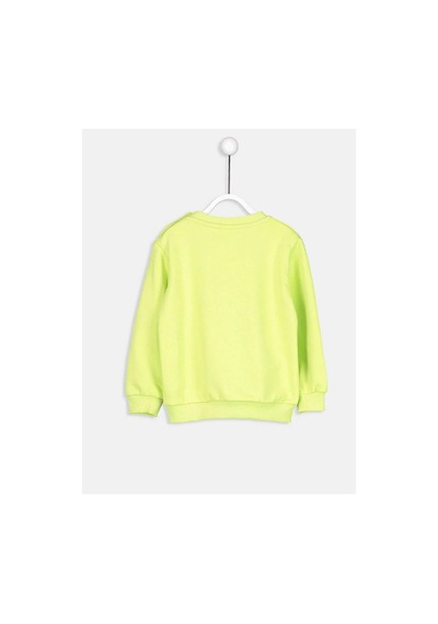 LC Waikiki Lcw Baby Yeşil Sweatshirt