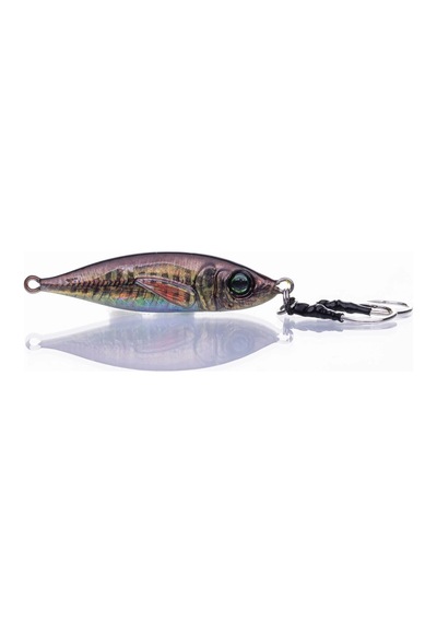Pandora Jig Coin Realistic 40 G - Color 4