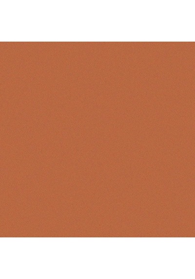 Albrecht Durer - Copper 252 Çok Renkli