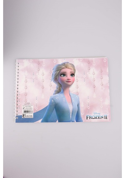 FROZEN ELSA RESİM DEFTERİ