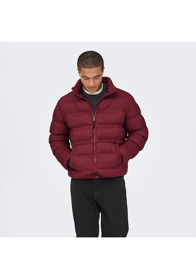 Only & Sons Union Seamless Life Erkek Bordo Mont 22034834-cab Bordo