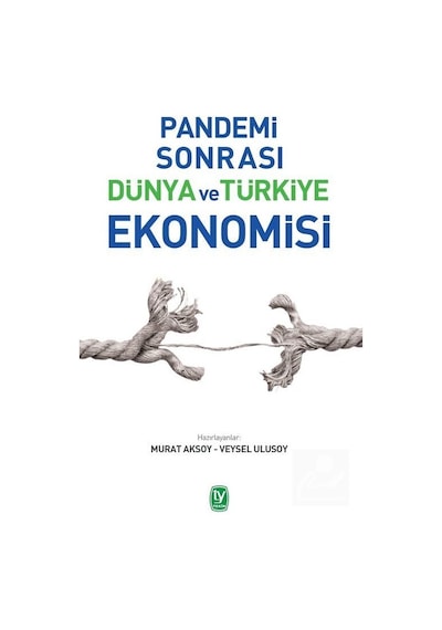 Pandemi Sonrası Dünya ve Türkiye Ekonomisi / Murat Aksoy