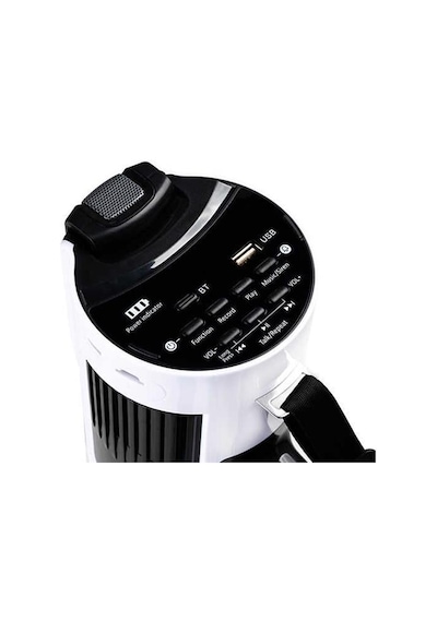 Powermaster Westa Wm-90pu Type-c 100 Watt Mayk Mikrofonlu Usb-tf-bluetooth Megafon