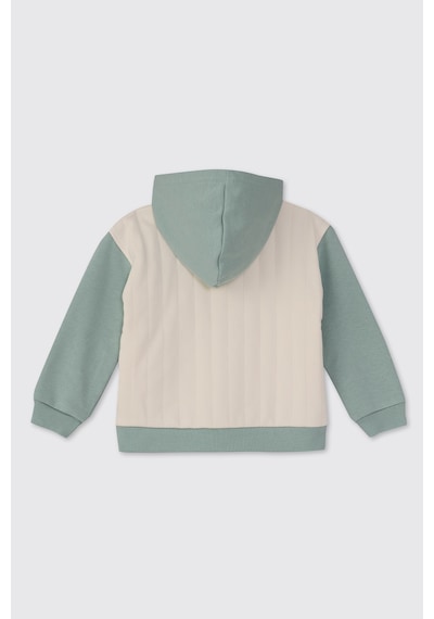 Panço Erkek Bebek Dinozor Baskılı Yeşil Sweatshirt