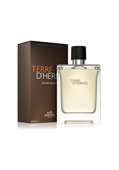 Hermes Terre D'Hermes Erkek Parfüm EDT 200 ML