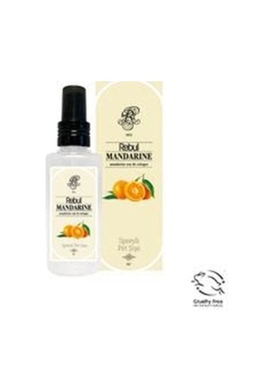 Rebul 125ml Mandalina Spreyli Kolonya Pet