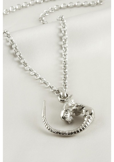 Canavar - 306 - Erkek Kolye - Nazblsmm - Gümüş Rengi