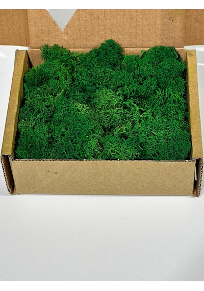 Reindermoss Şoklanmış Norveç Yosunu Terarium Yosunu Grass Green 100 Gr.