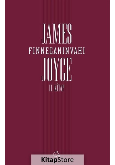 Finneganın Vahı 2. Kitap - James Joyce - Aylak Adam