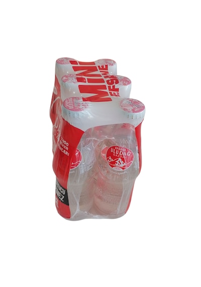 Efsane Uludağ Gazozu Mini Efsane 6x200 Ml
