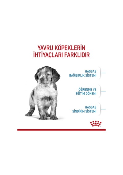 Ayrex Medium Junior Orta Irk Yavru Köpek Maması 4 Kg