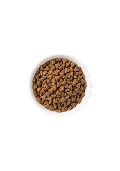 Zampa Plus Premium Tavuk Etli Yavru Kediler İçin Kuru Mama 15 KG