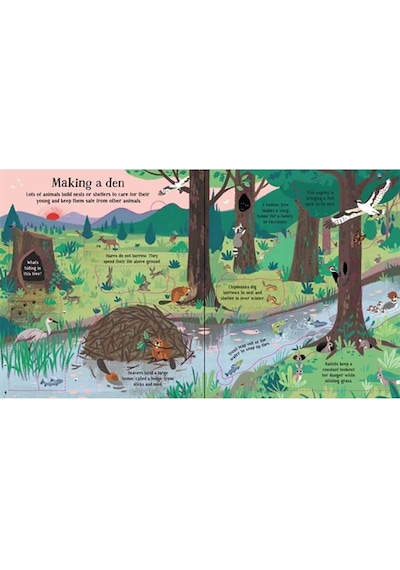 The Usborne Look Inside Nature 5+ Yaş