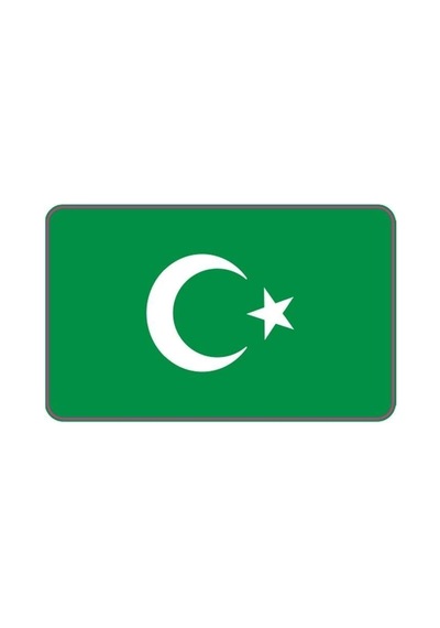 Cg Şeffaf Yeşil Bayrak Far Filmi Standart