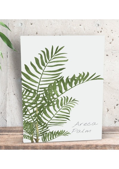 Bk Gift Green Plant Tasarımlı Dekoratif Mini Kanvas Tablo 15X20Cm (506660552)