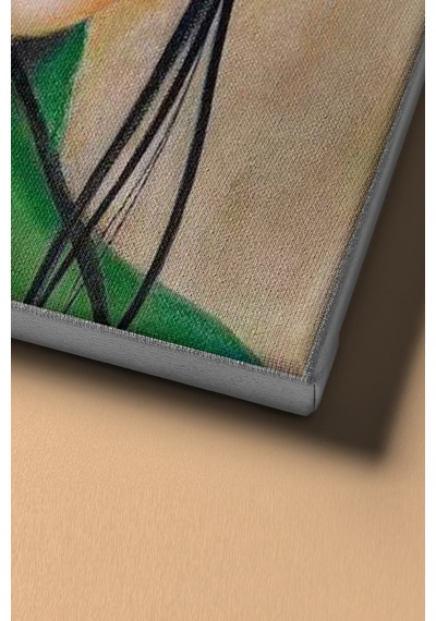Webstyle Sayılarla Boyama Seti Kasnaklı Japon Kızın Düşü 40 X 50 Cm