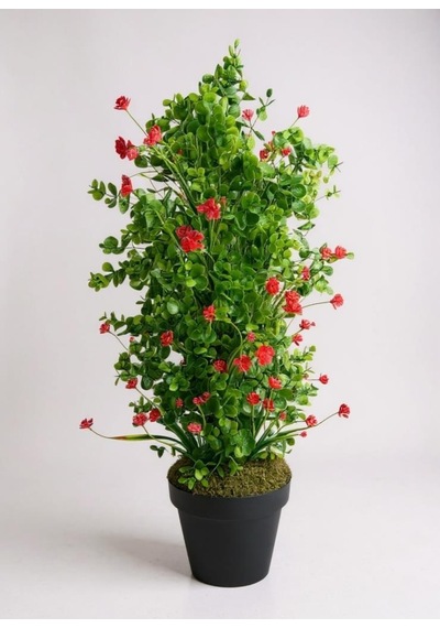 Yapay Çiçek Siyah Saksıda Kırmızı Lotuslu Yeşil Şimşir Ağacı 70 30cm Kırmızı