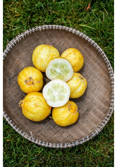 Nadir İthal Limon Salatalık Tohumu 5 Tohum + Tohum