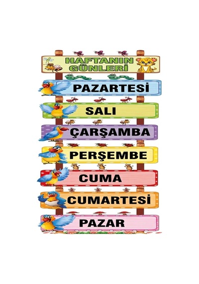 Dekota Üstüne Uv Baskı 33x43cm 2mm Sınıf İçi Pano Haftanın Günleri 30 40cm
