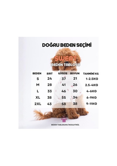 Cool Love Havalı Aşk 3'lü Sweat Set Kedi Köpek Sweati - Kedi Köpek Kıyafeti