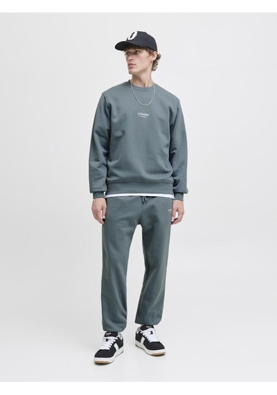 Jack & Jones Jjesoho Sweat Crew Neck Noos Cok Renklı