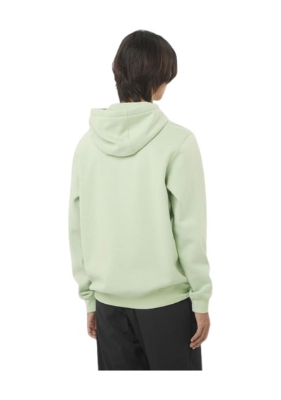 Salomon Salomon Logo Hoodıe M 51141 Çok Renkli