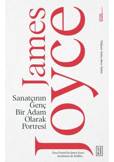 Sanatçının Genç Bir Adam Olarak Portresi - Uvcu-900546