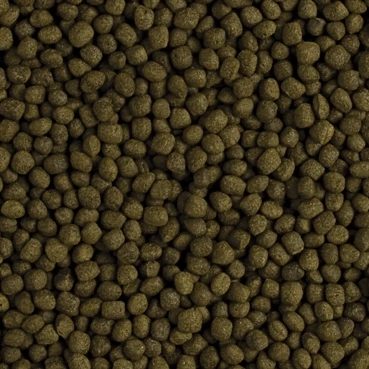 Tropical Flower Horn Adult Pellet 500 Gr Açık