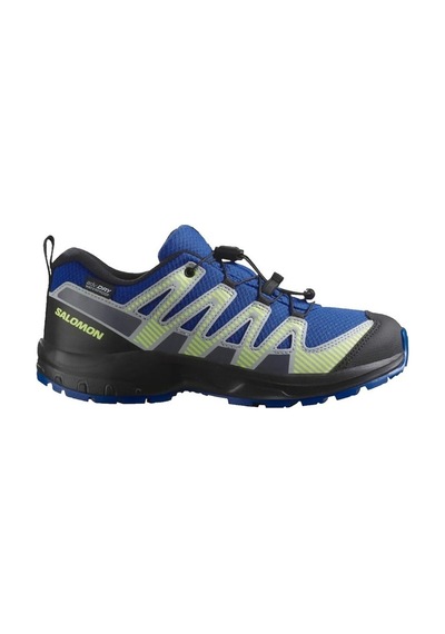 Salomon Xa Pro V8 Waterproof Mavi
