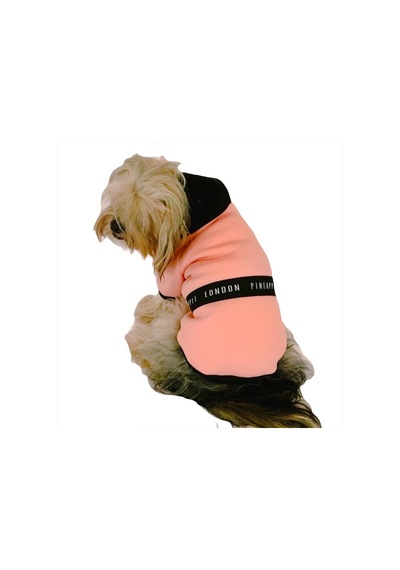 Kemique London Pineapple Kapüşonlu Köpek Sweatshirt Kemique London Pineapple Kapüşonlu Köpek Sweatshirt
