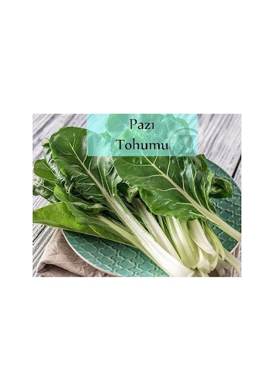 Pazı Tohumu 1 Paket 10gr 1000+ Adet