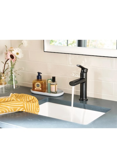 Moen Meena Mat Siyah Tek Kolu Tek Delikli Modern Banyo Lavabo Bat Diğer