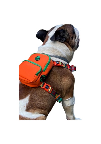 Design, Turuncu, Çantalı Göğüs Tasması, Köpek Sırt Çantası 2 Si 1 Arada Göğüs Tasması Fonksiy