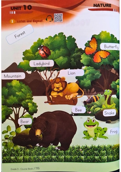 3. Sınıf İngilizce Eğitim Seti Fun & Learn